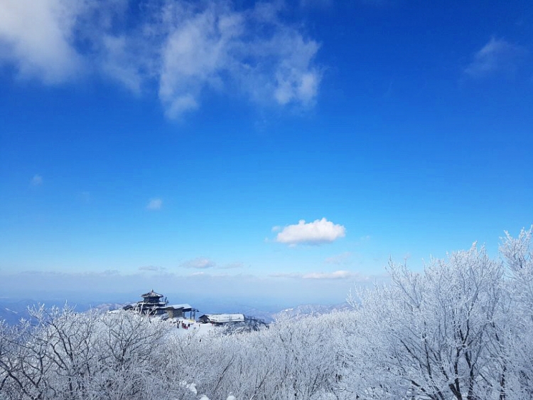 13341300_1517798618.jpg