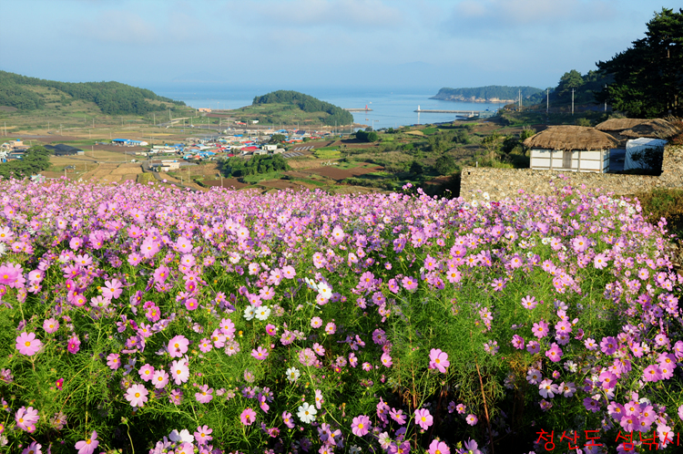 KTX- 浵 & û굵 & η (12)