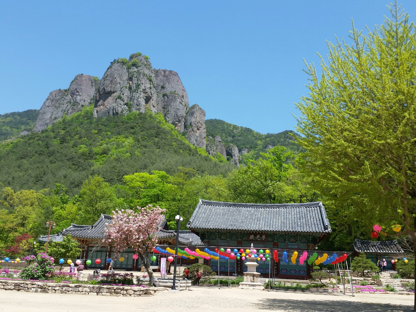 KTX- ֿջ(ֻ)ҿ & Ͽõ (12)