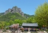 KTX- ֿջ(ֻ)ҿ & Ͽõ (12)