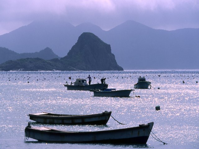 SRT- 浵 & û굵 & η (12)