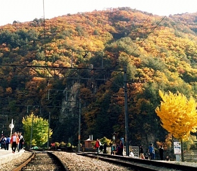 [특별열차] 환상선 가을단풍 기차여행(당일)